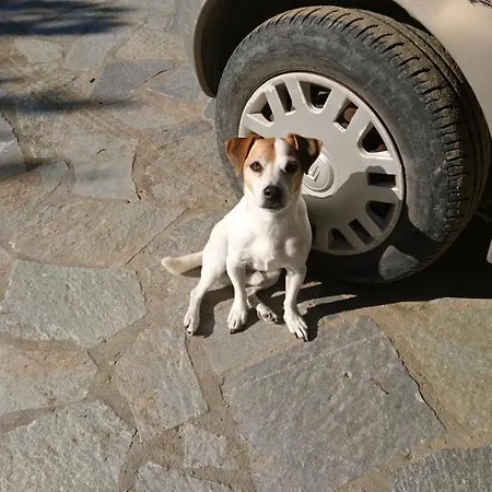 Kassia * Faliraki
